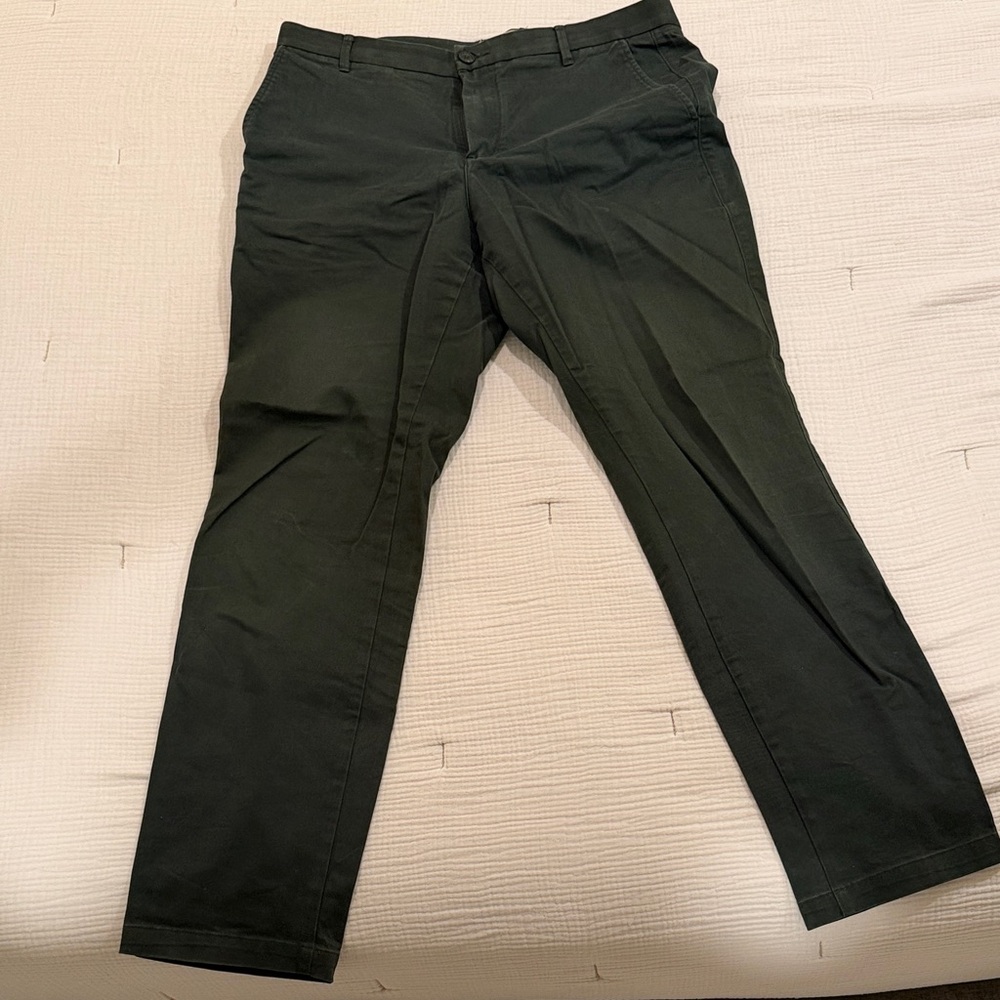 Everlane Dark Green Chino Pants